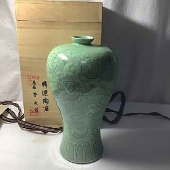 61HncC+V-YL._AC_UF350,